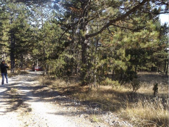 prodaje se plac u musvetama, zlatibor, čajetina besplatni mali oglasi