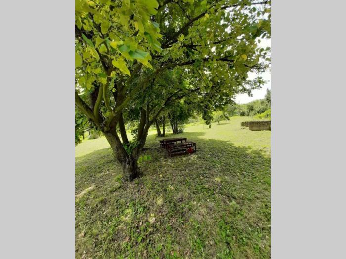 plac na fruškoj gori ležimir besplatni mali oglasi
