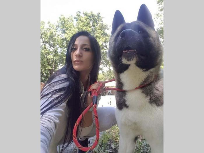 američke akite štenci šampionskog porekla besplatni mali oglasi