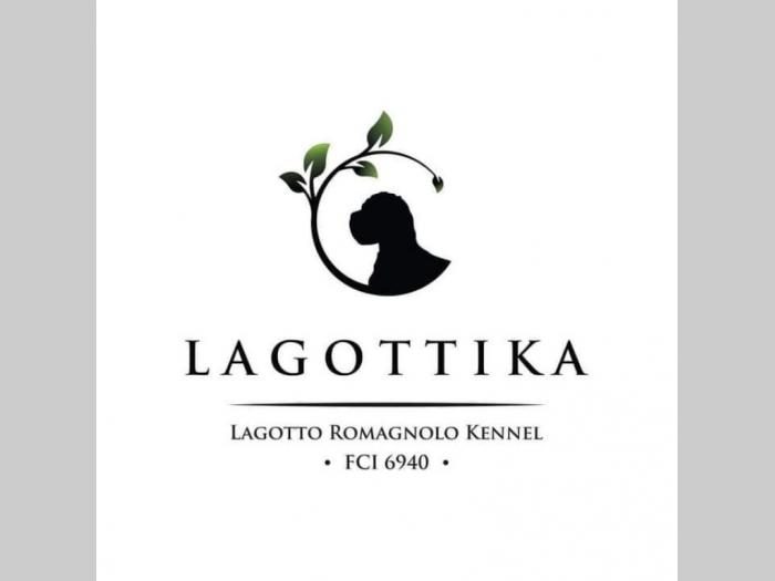 logoto romanjolo štenci besplatni mali oglasi