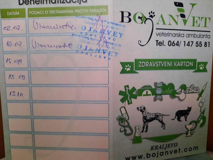 ženka kovrdžavog bišona bez dokumenata besplatni mali oglasi