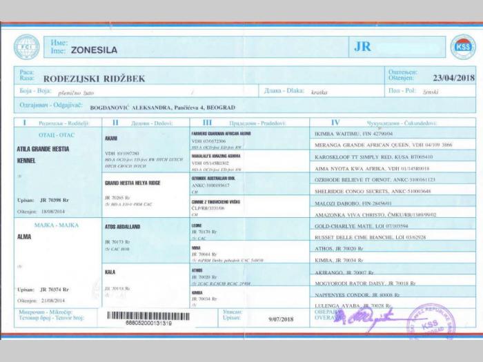 štenci rodezijskog ridžbeka besplatni mali oglasi