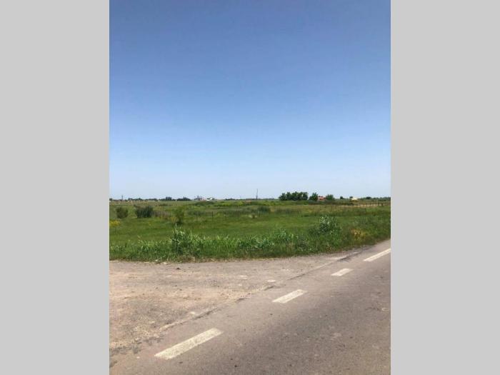 plac od 1,2 ha na putu novi sad zrenjanin kod žablja besplatni mali oglasi