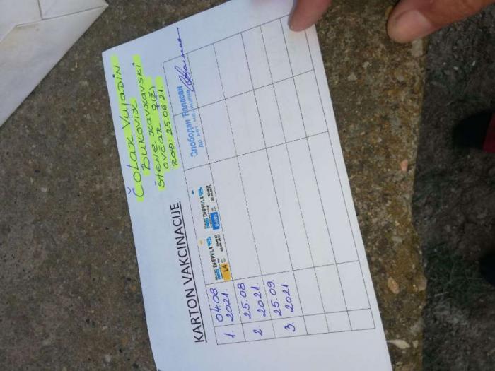 štenci kavkaskog ovčara besplatni mali oglasi
