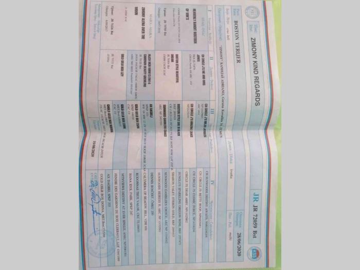 mužjak spreman za parenje besplatni mali oglasi