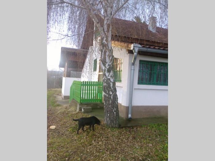 kuća i okućnica fruška gora, blizu manastira krušedol besplatni mali oglasi