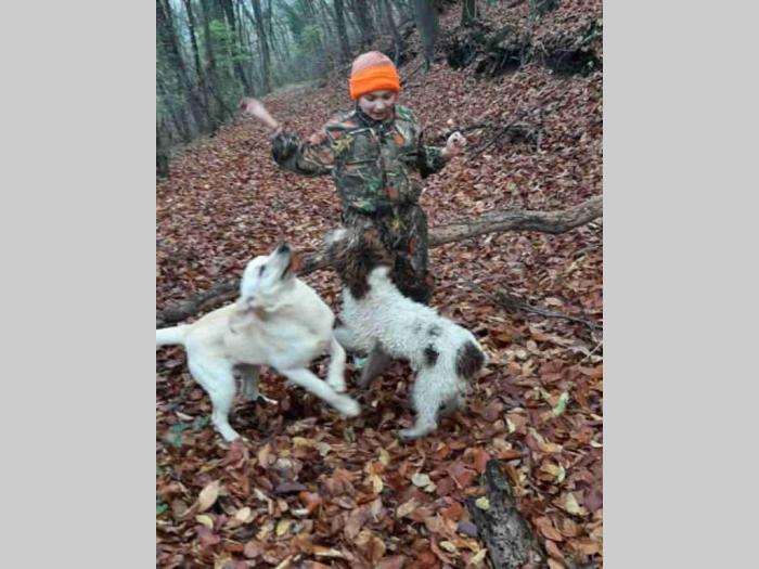tartufari lagote prodaja i obuka pasa besplatni mali oglasi
