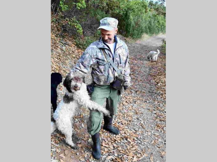 tartufari lagote prodaja i obuka pasa besplatni mali oglasi