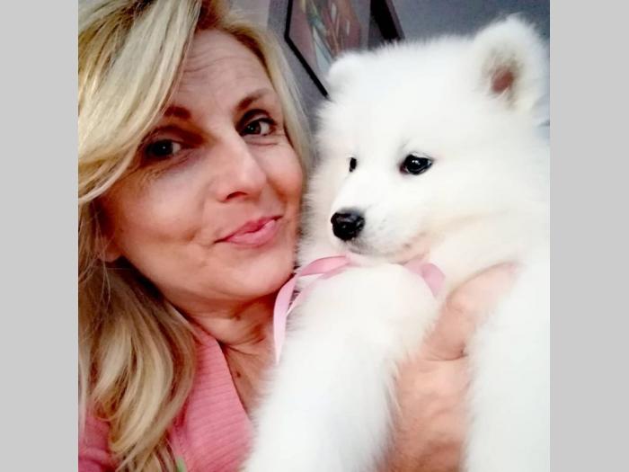 sibirski samojed štenci besplatni mali oglasi