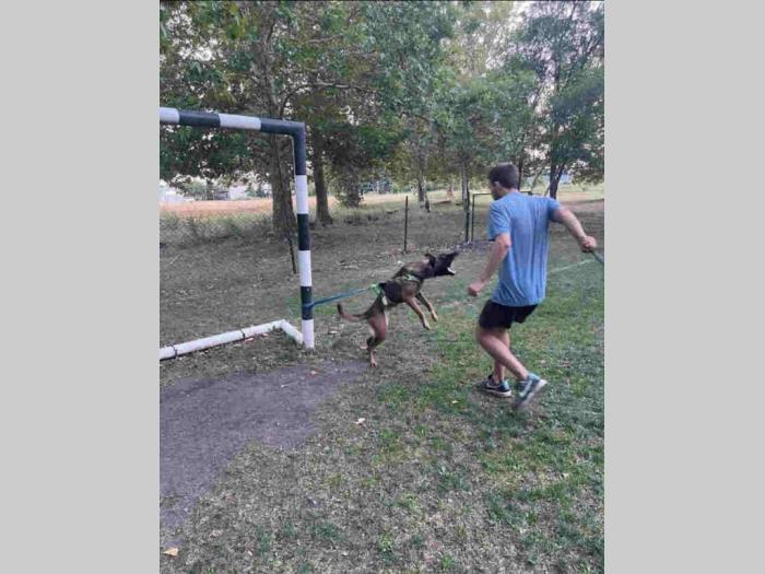 malinoa mlada obučena ženka besplatni mali oglasi