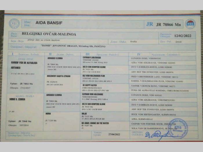 belgijski ovčar štenci besplatni mali oglasi