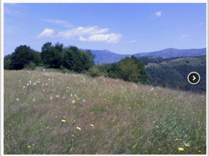 stara planina 18 hektara  besplatni mali oglasi