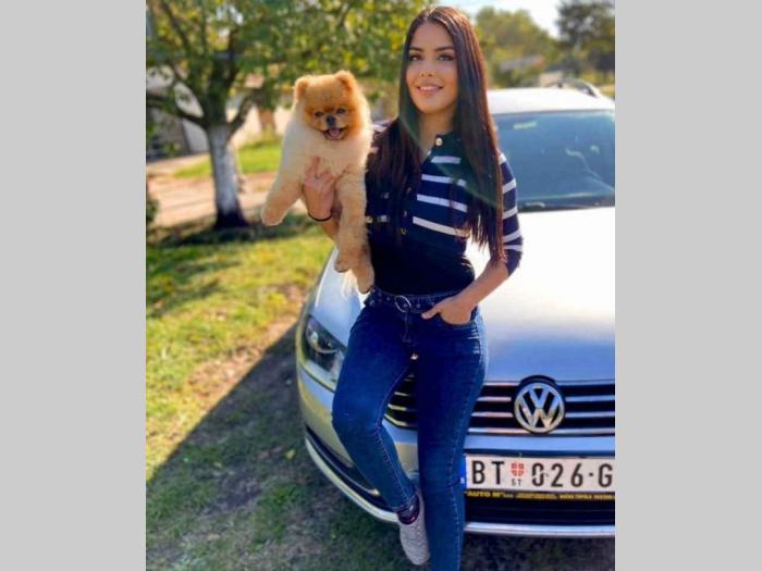 pomeranac štenci besplatni mali oglasi