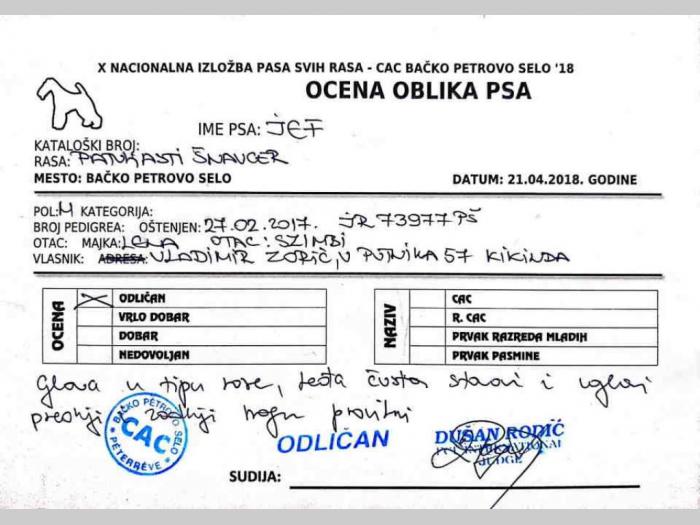 patuljsti šnaucer za parenje besplatni mali oglasi