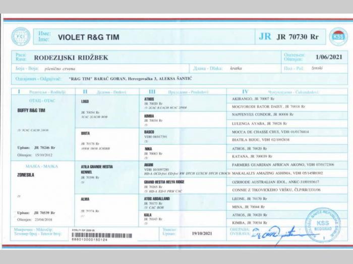 rodezijski ridžbek besplatni mali oglasi