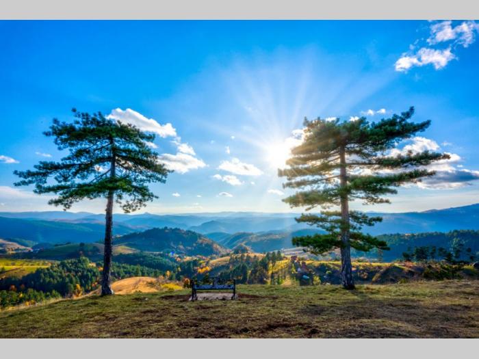 posao šankerice i pomoćne radnice, zlatibor besplatni mali oglasi