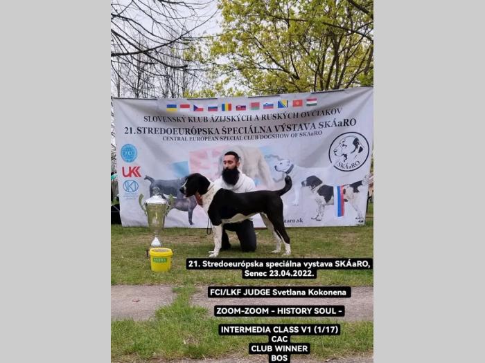 srednjeazijski ovčar štenci besplatni mali oglasi