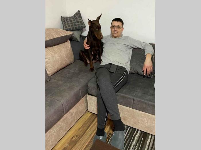 dobermani štenci besplatni mali oglasi