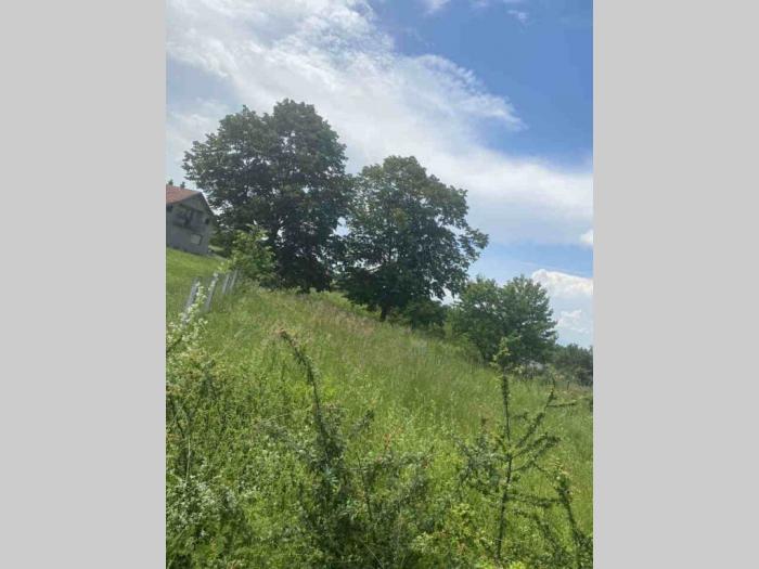 na prodaju je plac u cerovi kruševac besplatni mali oglasi