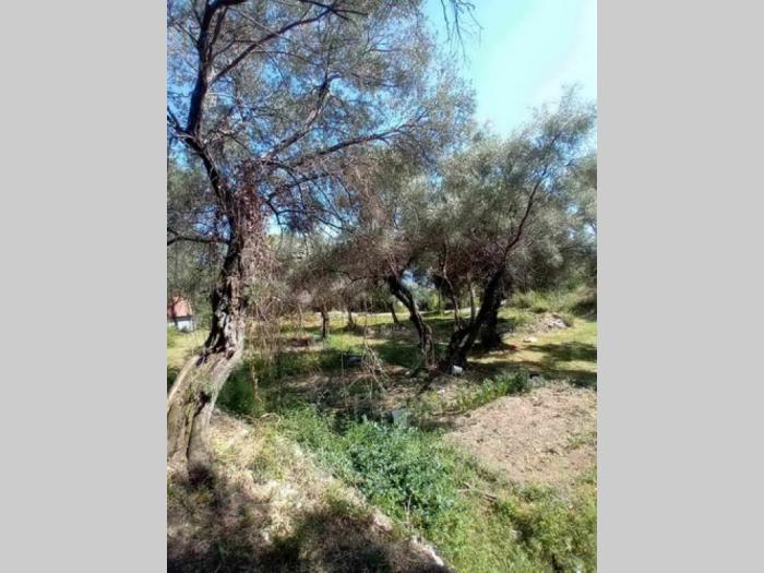 herceg novi građevinski placevi na 1 7 km od centra besplatni mali oglasi