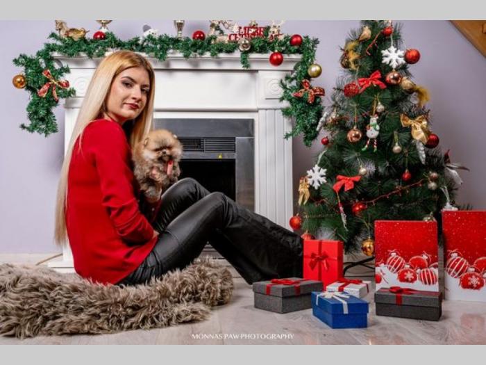 pomeranac štenci vrhunskog porekla besplatni mali oglasi