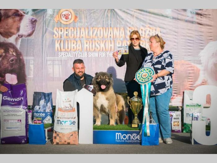 kavkaski ovčar top štenci besplatni mali oglasi