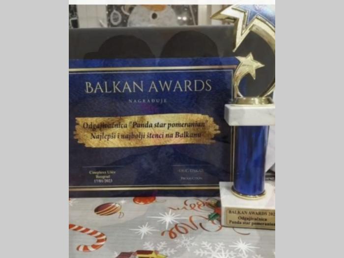 pomeranac boo beli besplatni mali oglasi