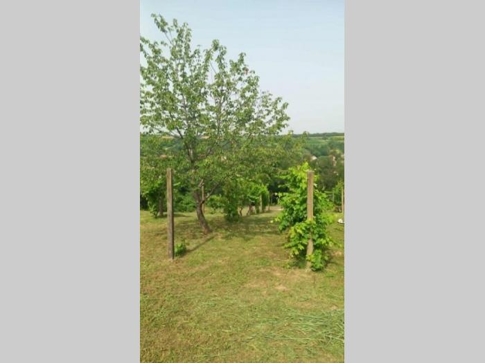 poljoprivredno zemljište, voćnjak 15 ari selo jazak besplatni mali oglasi