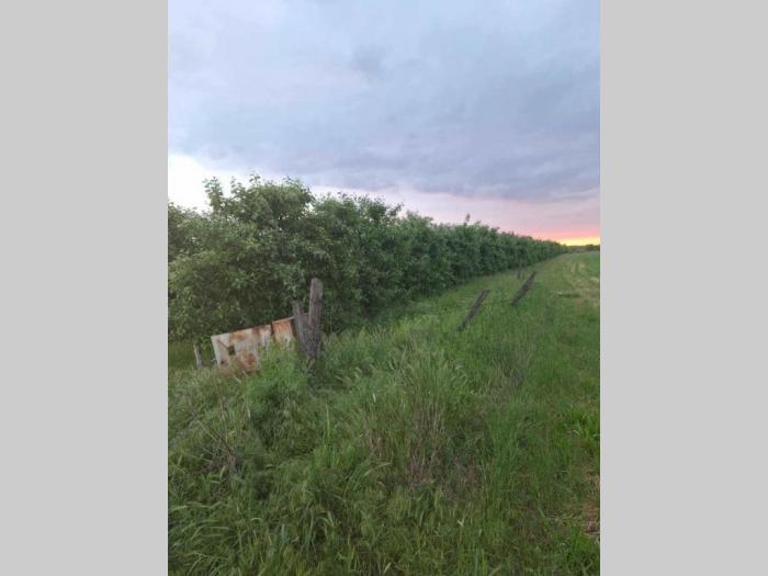 na prodaju dva voćnjaka površine od po 2ha besplatni mali oglasi