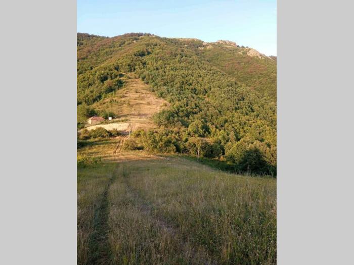 stara planina placevi besplatni mali oglasi